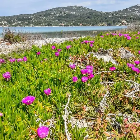 House Zora Otok Zizanj