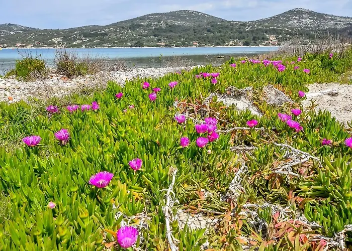 House Zora Otok Zizanj